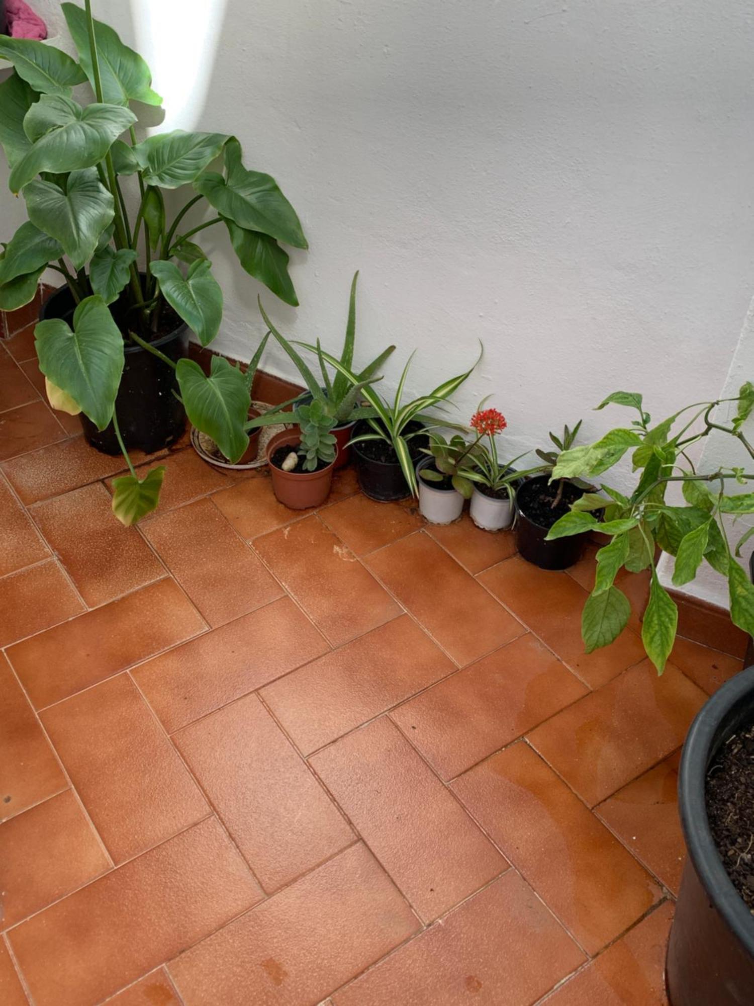 Villa Casa Abuelo Manolo El Molinero El Gastor Esterno foto